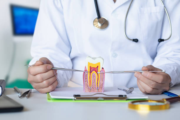 Best Chipped Tooth Repair Near Me  in Sans Souci, SC